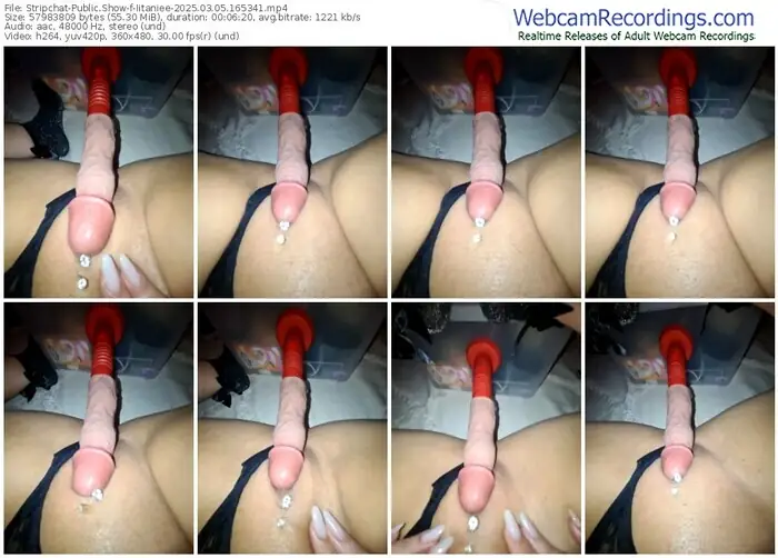 stripchat-iitaniee-03-05-2025-16-53-41