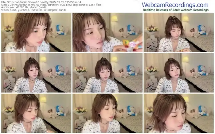 stripchat-onekitty-03-05-2025-03-53-53