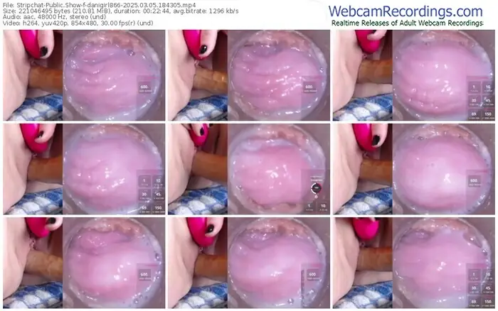 stripchat-danigirl866-03-05-2025-18-43-05