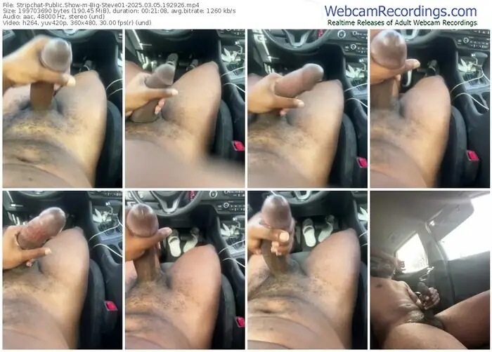 stripchat-big-steve01-03-05-2025-19-29-26