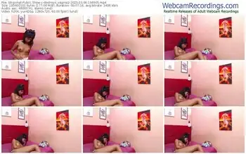stripchat-destroys_vagina2-03-06-2025-19-49-05