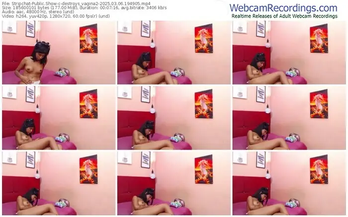 stripchat-destroys_vagina2-03-06-2025-19-49-05