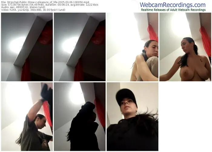 stripchat-pleasure_of_life-03-06-2025-19-06-50