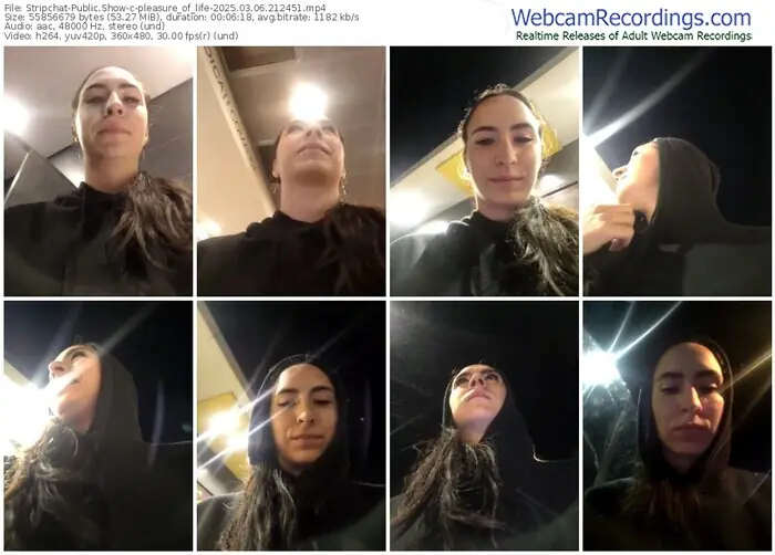 stripchat-pleasure_of_life-03-06-2025-21-24-51
