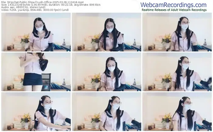 stripchat-lush-office-03-06-2025-11-34-18