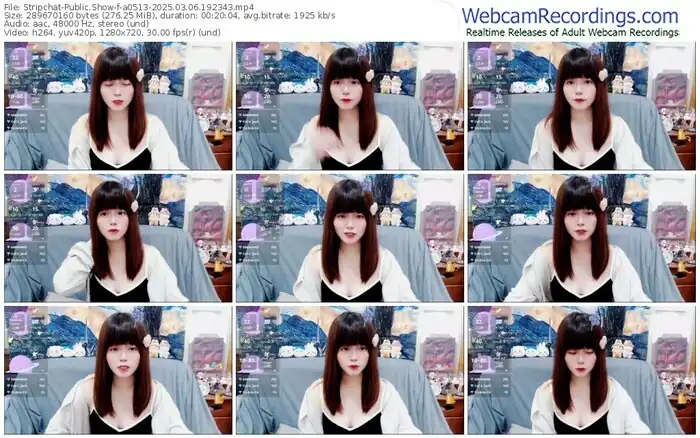 stripchat-a0513-03-06-2025-19-23-43