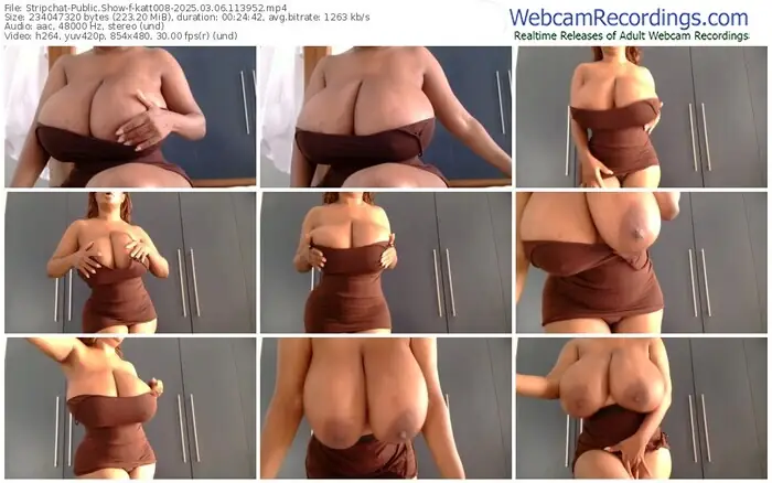 stripchat-katt008-03-06-2025-11-39-52