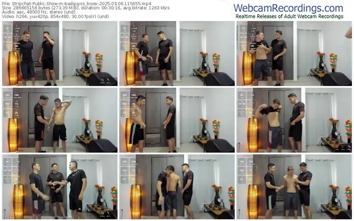 stripchat-badguyss_bisex-03-06-2025-11-56-55