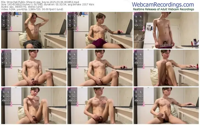 stripchat-gay_boyss-03-06-2025-00-38-53