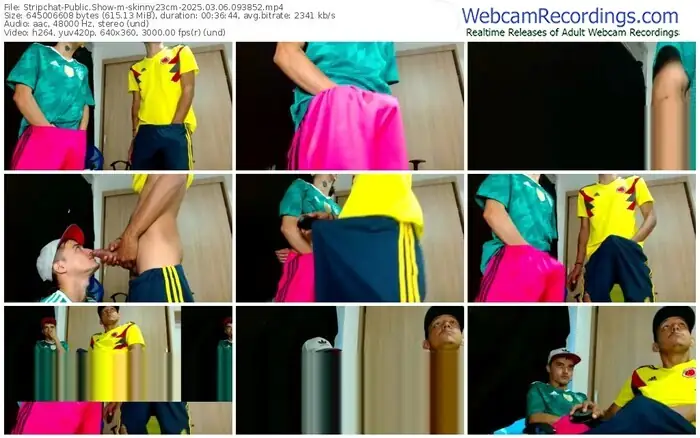 stripchat-skinny23cm-03-06-2025-09-38-52