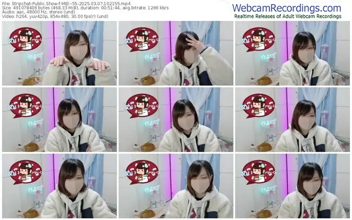 stripchat-mei--55-03-07-2025-10-21-55