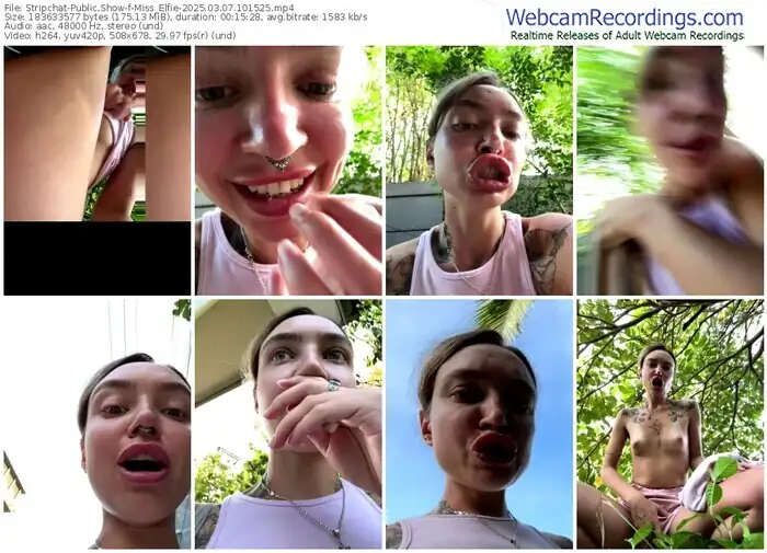 stripchat-miss_elfie-03-07-2025-10-15-25