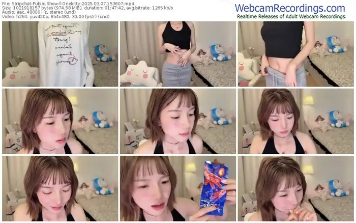 stripchat-onekitty-03-07-2025-15-36-07