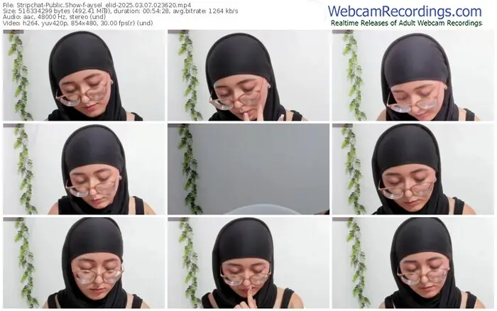 stripchat-aysel_elid-03-07-2025-02-36-20