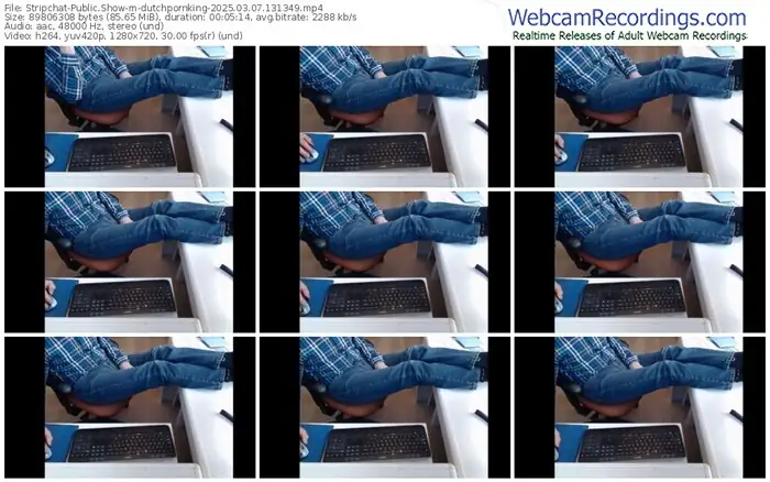 stripchat-dutchpornking-03-07-2025-13-13-49