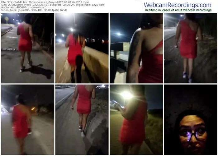 stripchat-kassie_greys-03-08-2025-04-12-59