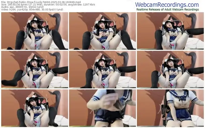 stripchat-luckyto666-03-08-2025-16-08-49