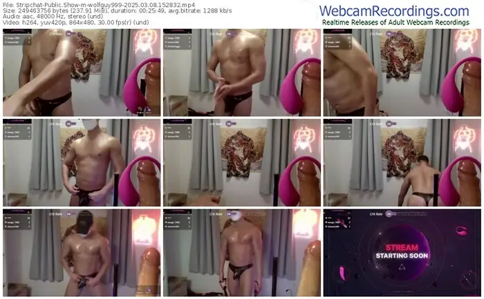 stripchat-wolfguy999-03-08-2025-15-28-32