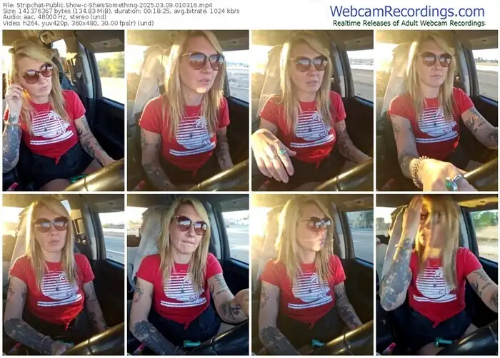 stripchat-sheissomething-03-09-2025-01-03-16