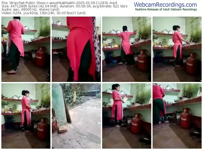stripchat-anushkabhabhi-03-09-2025-11-28-31