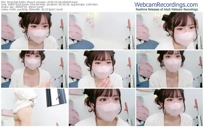 stripchat--minami--03-09-2025-06-28-45