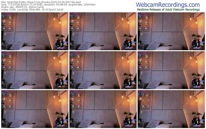 stripchat-lea_brooks-03-09-2025-00-17-06