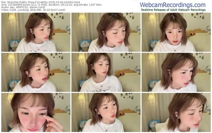 stripchat-onekitty-03-09-2025-16-43-02