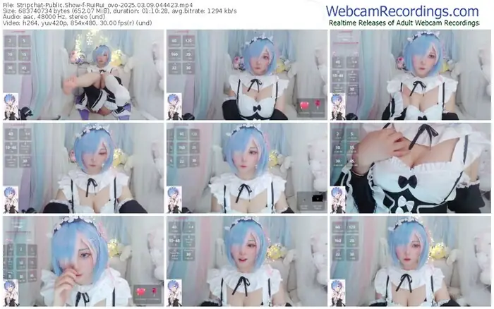 stripchat-ruirui_ovo-03-09-2025-04-44-23