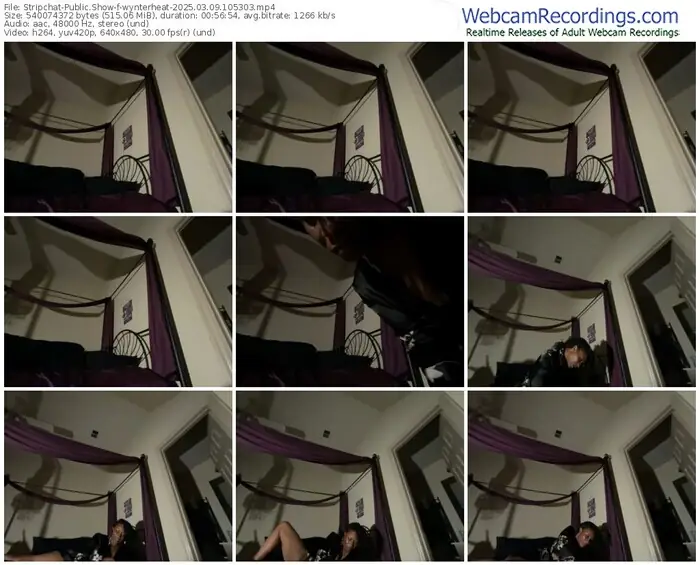 stripchat-wynterheat-03-09-2025-10-53-03