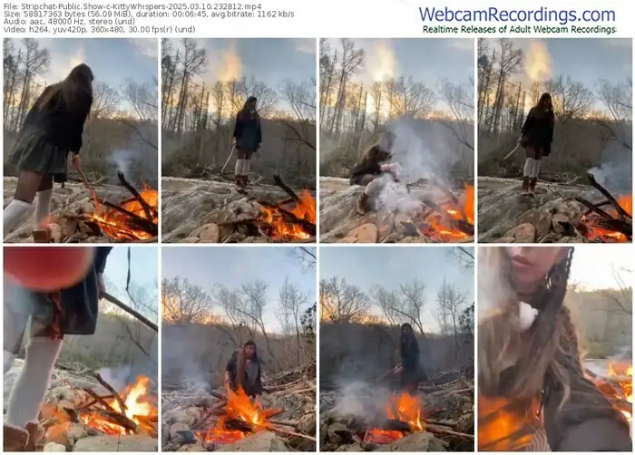 stripchat-kittywhispers-03-10-2025-23-28-12