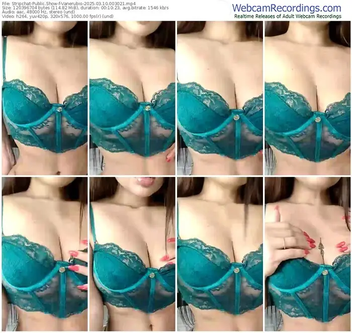 stripchat-vanerubio-03-10-2025-00-30-21