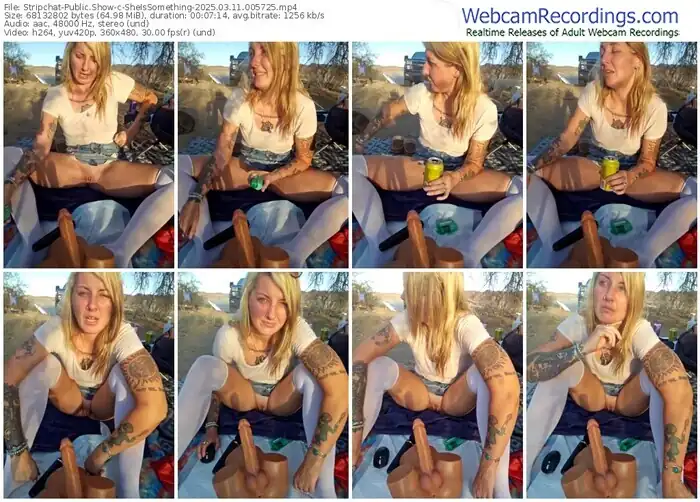 stripchat-sheissomething-03-11-2025-00-57-25