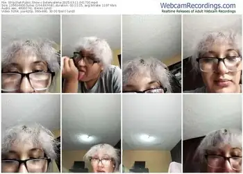 stripchat-belenvaleria-03-11-2025-04-17-30