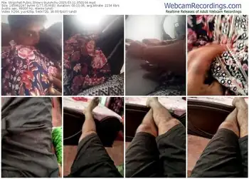 stripchat-bulunchu-03-11-2025-05-01-04