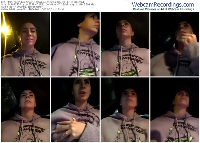 stripchat-pleasure_of_life-03-11-2025-19-12-05