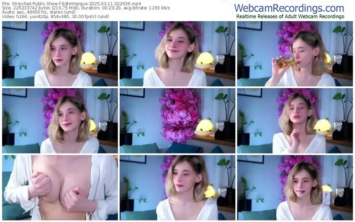 stripchat-edlinhargus-03-11-2025-02-26-36