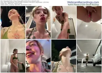 stripchat-miss_elfie-03-11-2025-14-11-25