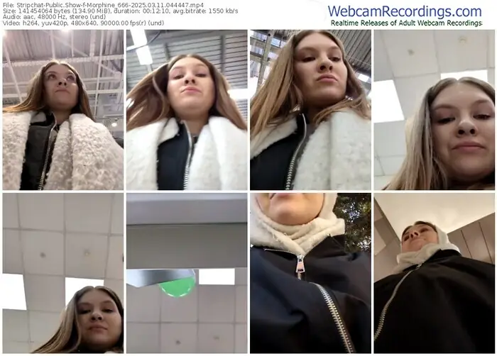 stripchat-morphine_666-03-11-2025-04-44-47