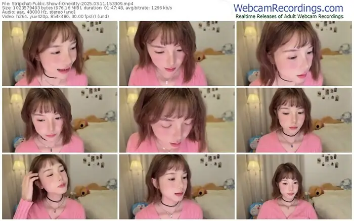 stripchat-onekitty-03-11-2025-15-33-09