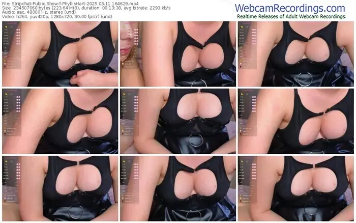 stripchat-phyllishart-03-11-2025-16-46-29