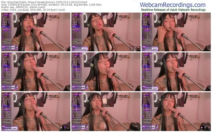 stripchat-sweet-bunny1-03-11-2025-00-12-23