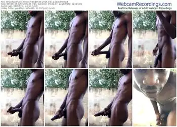 stripchat-bigd634-03-11-2025-08-21-00