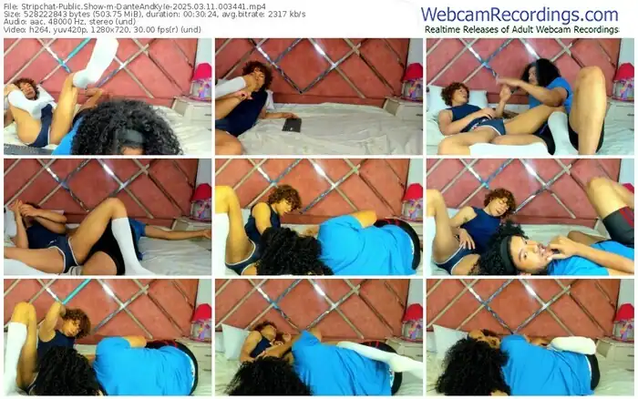 stripchat-danteandkyle-03-11-2025-00-34-41