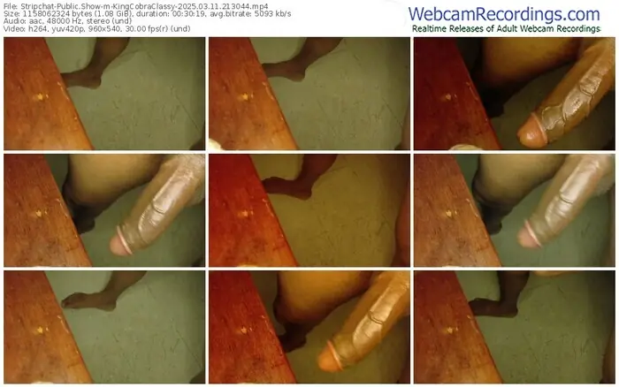 stripchat-kingcobraclassy-03-11-2025-21-30-44