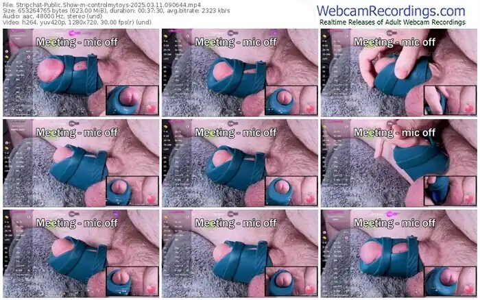 stripchat-controlmytoys-03-11-2025-09-06-44