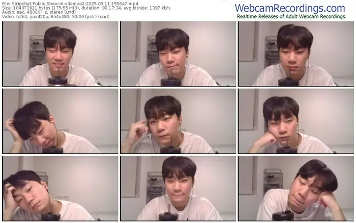 stripchat-sdamvo2-03-11-2025-15-56-47