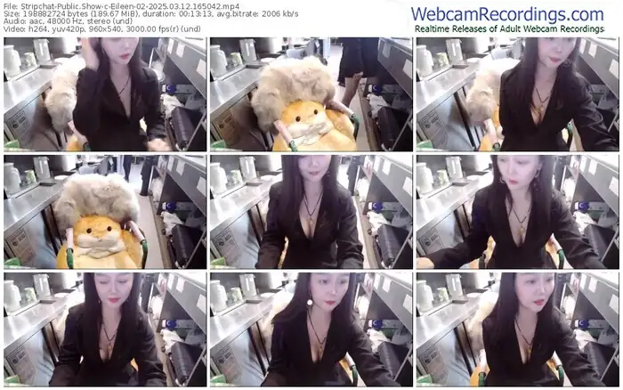 stripchat-eileen-02-03-12-2025-16-50-42