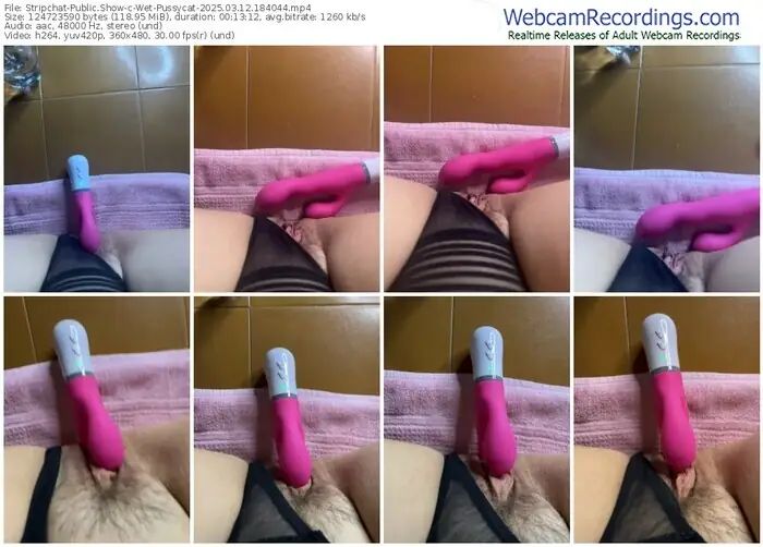 stripchat-wet-pussycat-03-12-2025-18-40-44