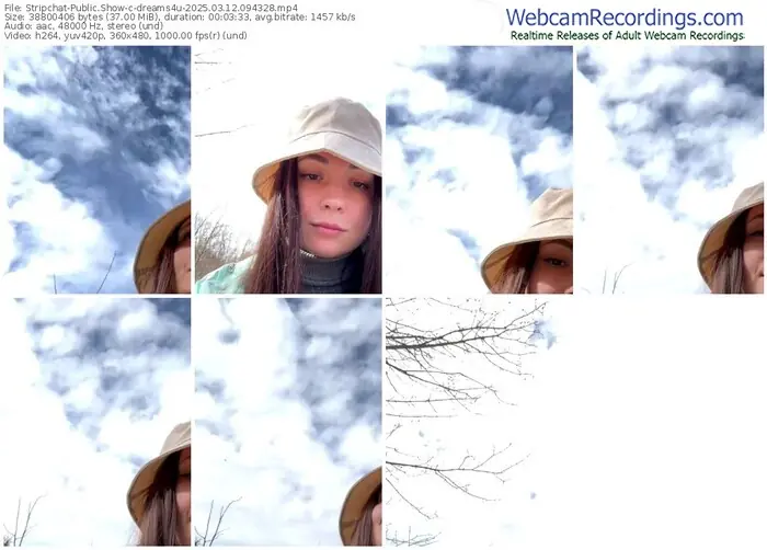 stripchat-dreams4u-03-12-2025-09-43-28