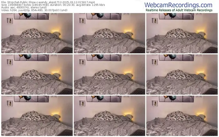 stripchat-wendy_alejo1712-03-12-2025-01-59-17